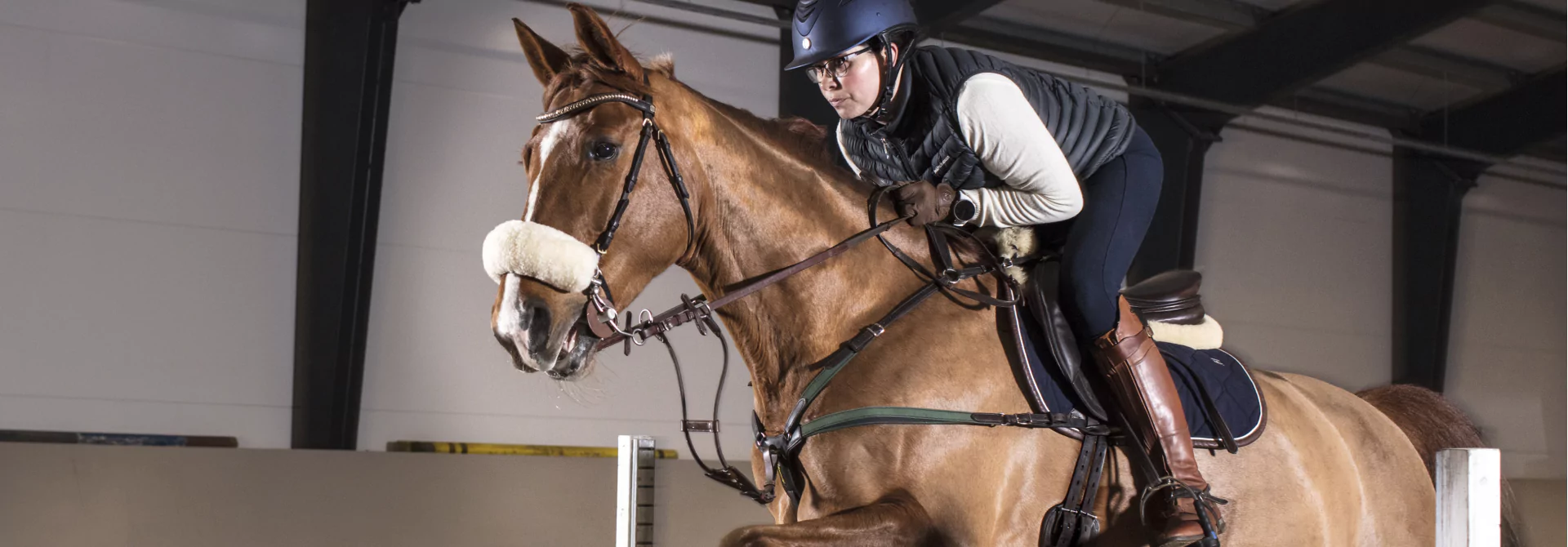 EQUINE RIDE TRAININGSSYSTEM