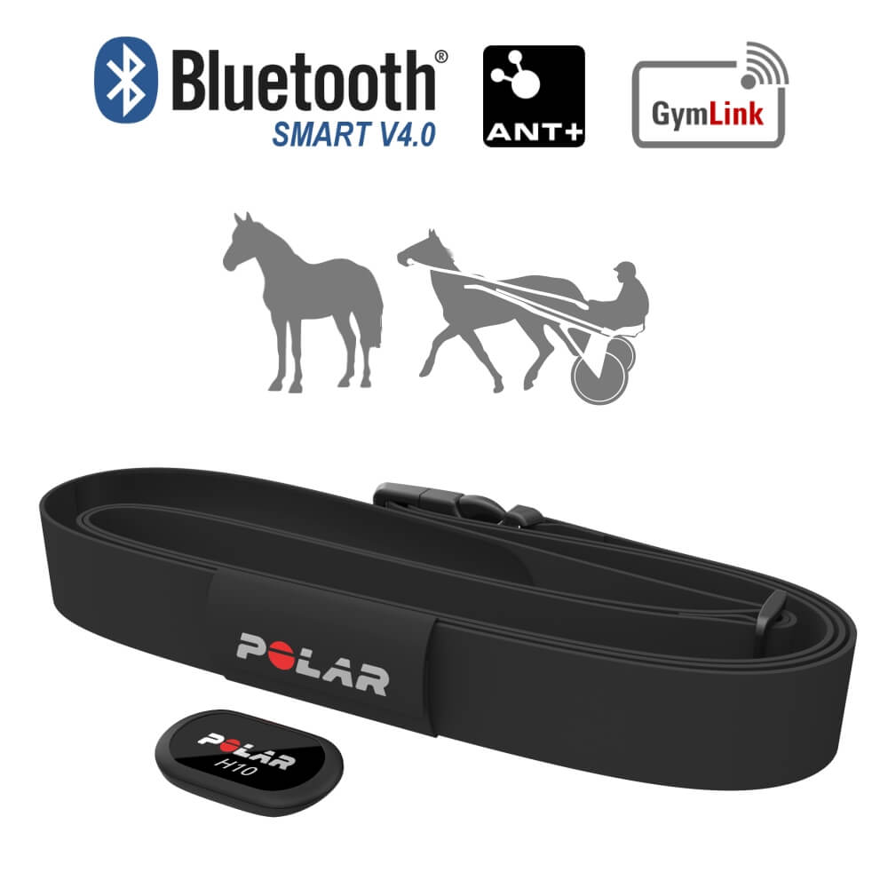 POLAR Equine Pacer Trotting GPS Sportuhr Schwarz + H10 Sender für freies Training & Fahrsport bei CardioZone online kaufen