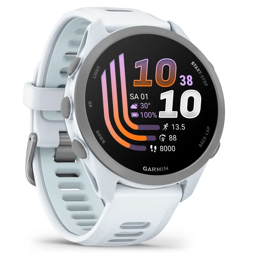 Garmin Forerunner 170 Music Steinweiss/Pudergrau Smarte GPS Laufuhr