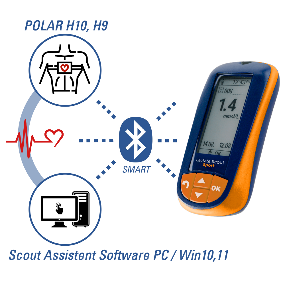 Lactate Scout Sport Start-Set mit Messgerät und Scout Assistent Software bei CardioZone günstig online kaufen