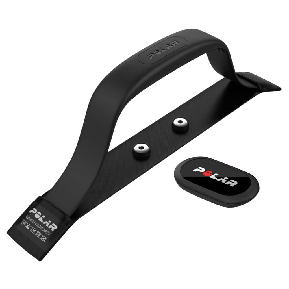 POLAR Equine Healthcheck mit H10 Sender - Herzfrequenz im Ruhezustand messen - bei CardioZone günstig online kaufen