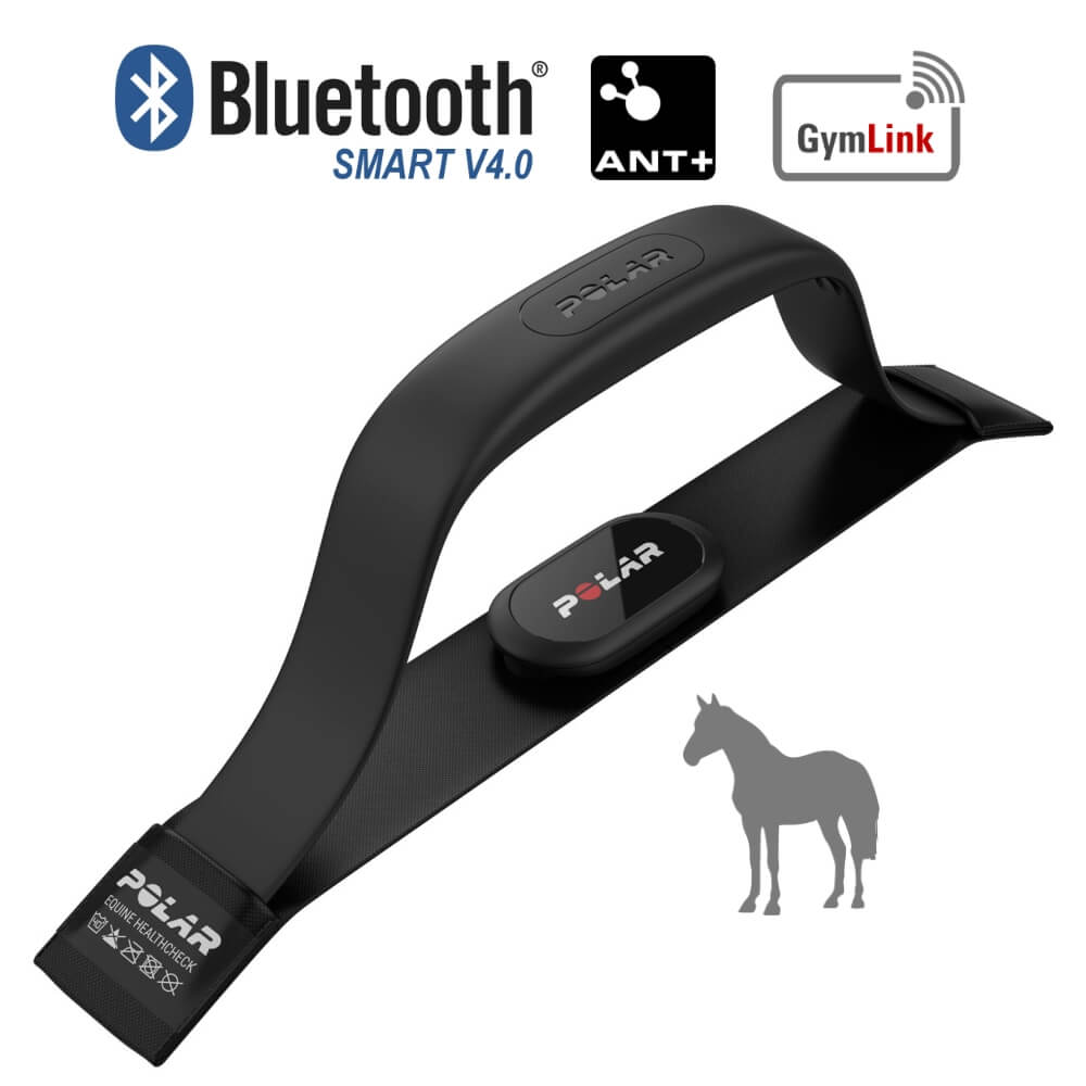 POLAR Equine Healthcheck mit H10 Sender - Herzfrequenz im Ruhezustand messen - bei CardioZone günstig online kaufen