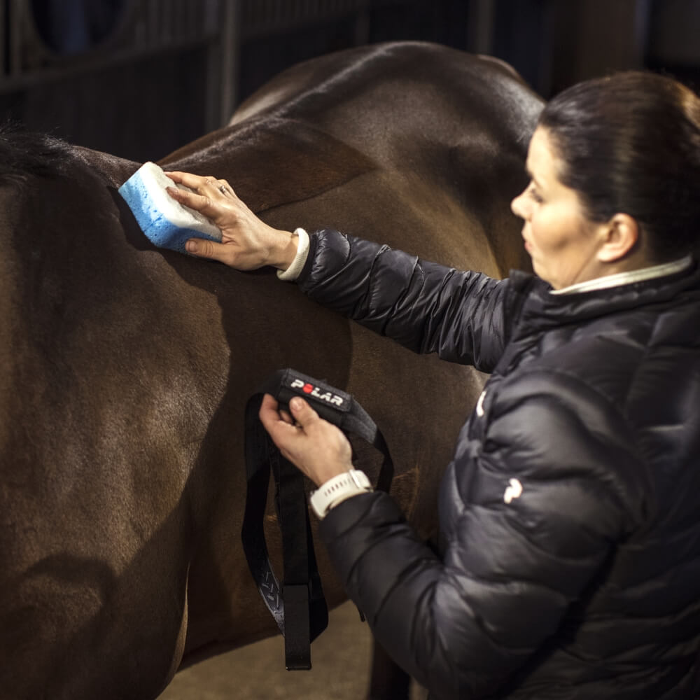 POLAR Equine Pacer Trotting GPS Sportuhr Schwarz + H10 Sender für freies Training & Fahrsport bei CardioZone online kaufen