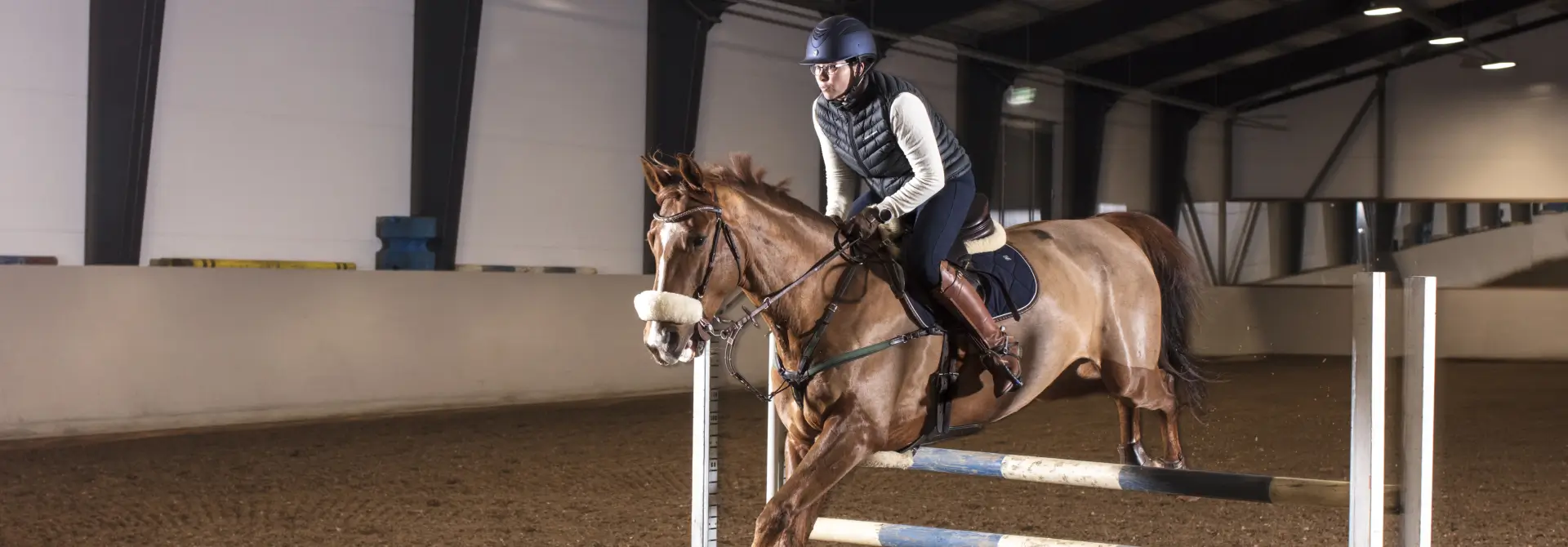 Equine Trainingssysteme