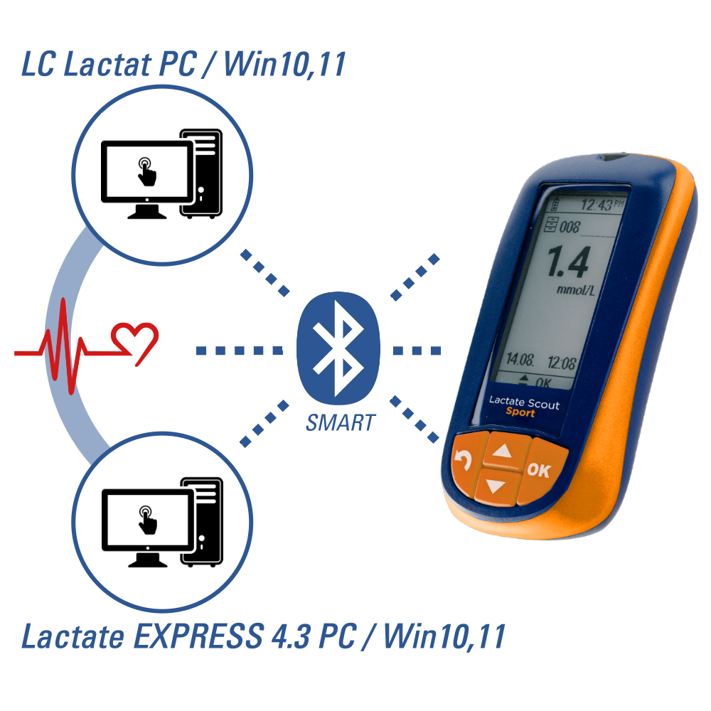 Lactate Scout Sport Start-Set mit Messgerät und Scout Assistent Software bei CardioZone günstig online kaufen