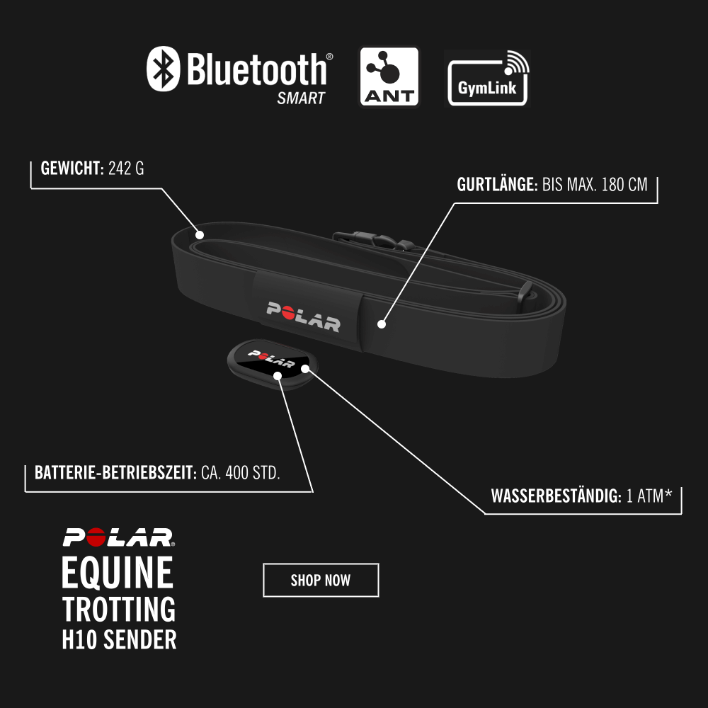POLAR Equine H10 Bluetooth Smart Sender mit Softgurt für freies Pferde Training bei CardioZone guenstig bestellen