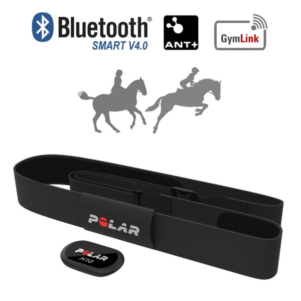 POLAR Equine H10 Bluetooth Smart Sender mit Sattel-Elektroden für Distanzreiten, Vielseitigkeit, Dressur- und Springreiten, Rennen bei CardioZone guenstig online kaufen